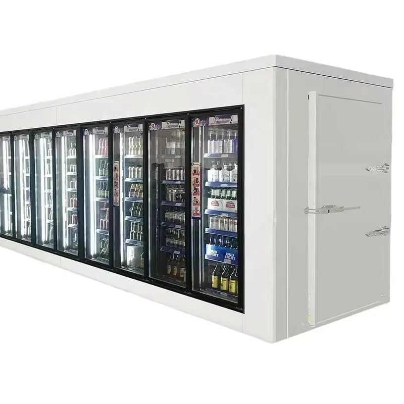 Soardragon Walk in Freezer Glass Door Black Glass Door Drinks Display Cold Room Silver Frame Glass Door Cold Room with Shelf