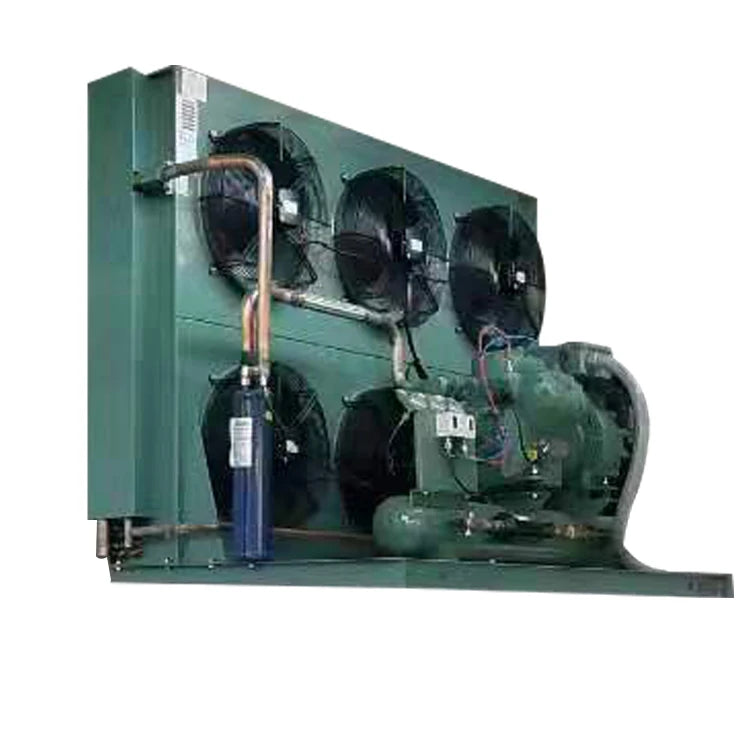 Refrigeration Unit Low Temp Freezer Units Compressor Condensing Unit for Cold Storage