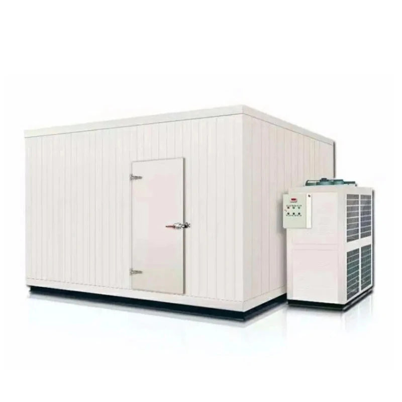 Mobile Blast Freezer -70~-50 Degrees Low-Temperature Walk-In Freezer for Fruit Cold Room Storage